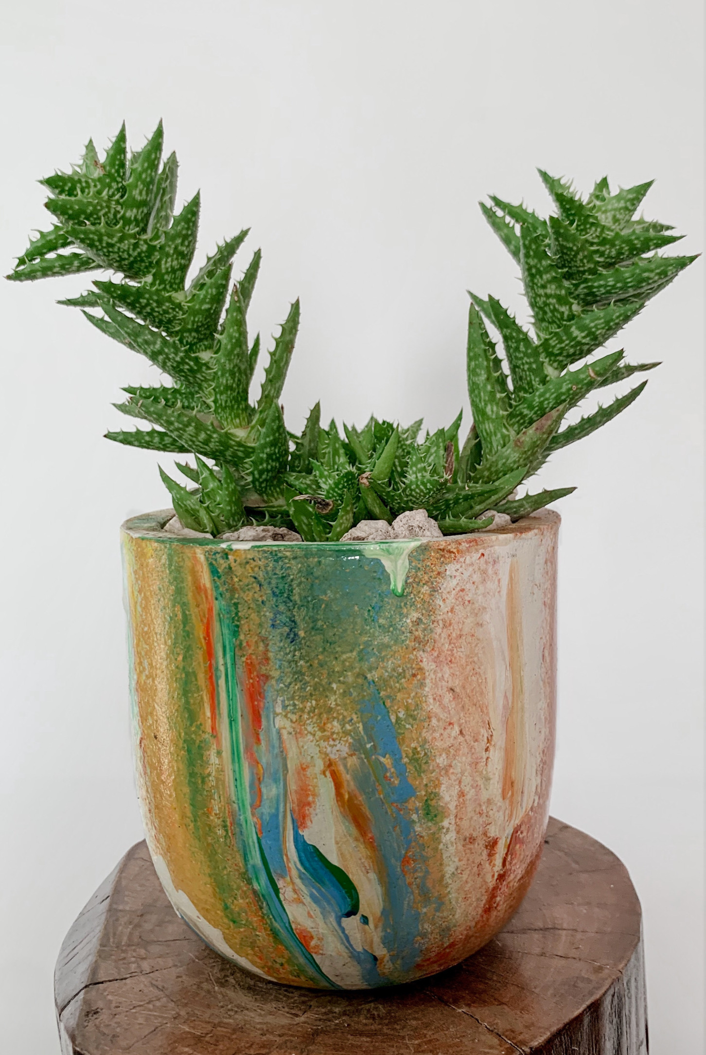 Aloes Juvennas